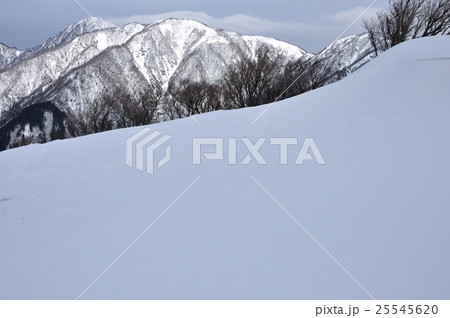 雪の丹沢山地 25545620