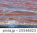 赤潮 25546023