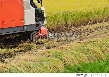 米どころ　みちのくの稲刈り風景 25546794