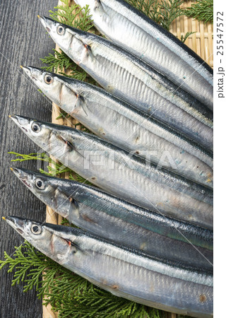 秋刀魚 25547572