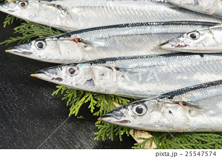 秋刀魚 秋刀魚 25547574