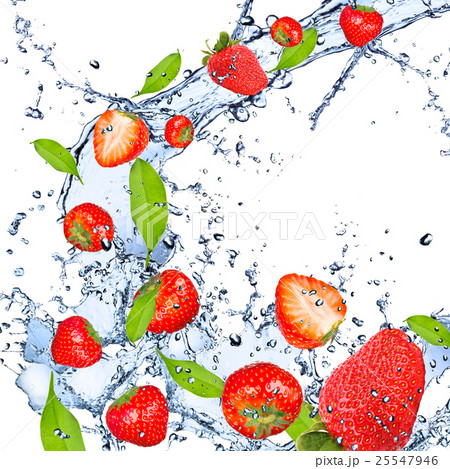 food and drink 25547946