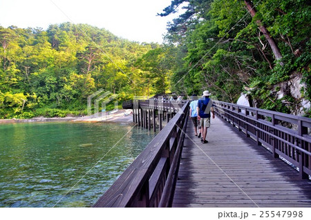 東北・三陸・宮古・浄土ヶ浜　ビジターセンターと浄土ヶ浜を結ぶ遊歩道（１） 25547998