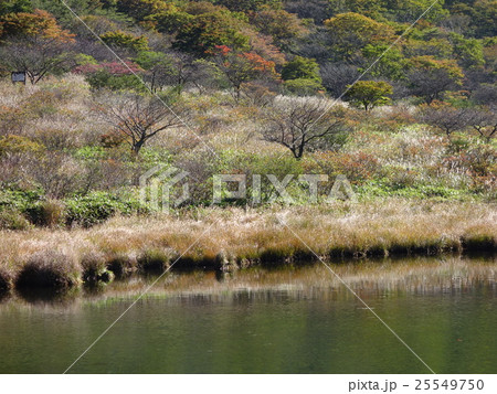 覚満淵の紅葉 25549750