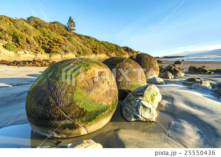 Moeraki Boulders on the Koekohe beach, New Zealand 25550436