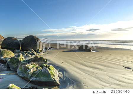 Moeraki Boulders on the Koekohe beach, New Zealand 25550440