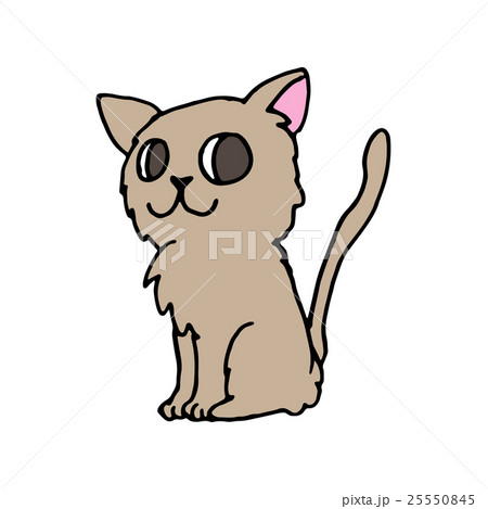 お座り猫 25550845