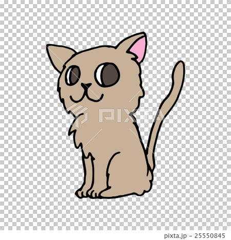 お座り猫 25550845