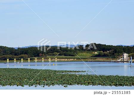 長沼ボート場 長沼ボート場 25551385