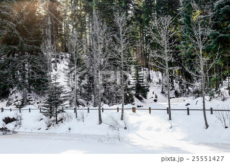 frozen Longemer lake in the Vosges Mountain frozen Longemer lake in the Vosges Mountain 25551427