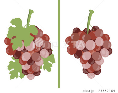 Grape. Bunches of grapes. Set of different grape 25552164