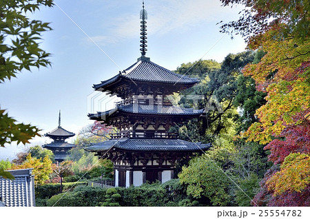 當麻寺　国宝　三重塔　紅葉 25554782