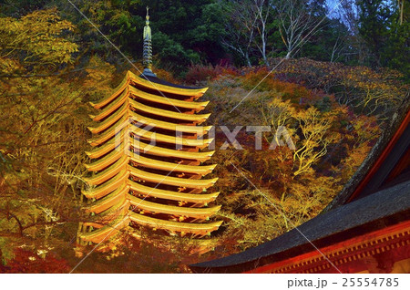 談山神社　十三重塔　紅葉　ライトアップ 25554785