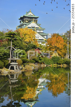 大阪城　日本庭園　紅葉　秋 25554855