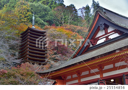 談山神社　十三重塔　紅葉　 25554856