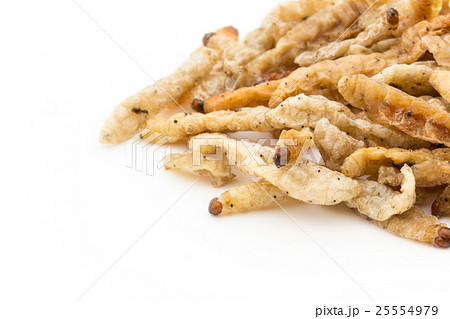 バンブーワーム（昆虫食）: Bamboo worm 25554979