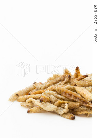 バンブーワーム（昆虫食）: Bamboo worm 25554980