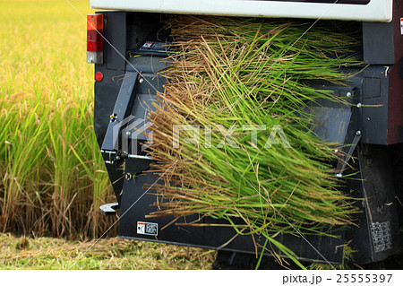 コンバインで稲刈り 25555397