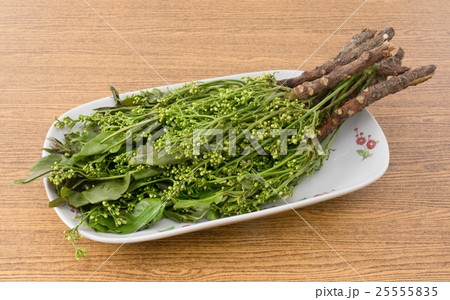 Dish of Fresh Neem Leaves and Blossom 25555835