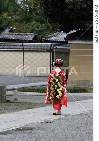 建仁寺の芸妓さん 25555873