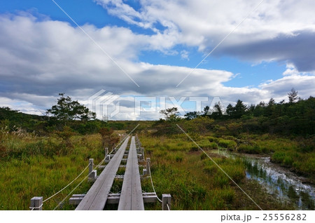 秋を迎えた那須高原 沼原湿原の写真素材