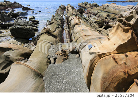 高知県土佐清水市 竜串海岸 大竹小竹 高知県土佐清水市 竜串海岸 大竹小竹 25557204