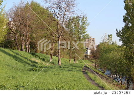河川敷 25557268