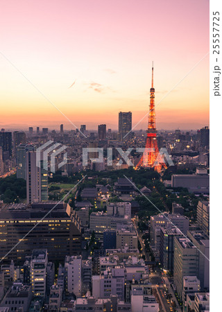 東京タワーと東京都心の夕景・夜景 25557725