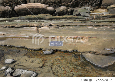 高知県土佐清水市　竜串海岸　欄間岩 25557817