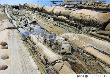 高知県土佐清水市　竜串海岸　欄間岩 25557819