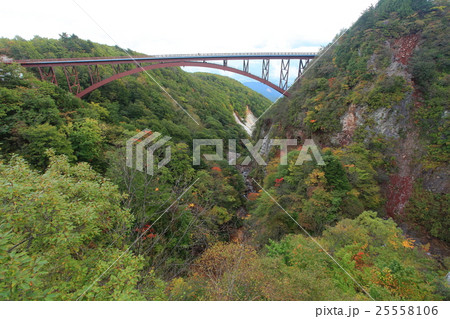 つばくろ谷(不動沢橋) つばくろ谷(不動沢橋) 25558106