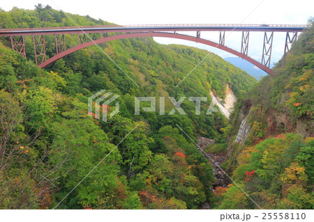 つばくろ谷（不動沢橋） 25558110