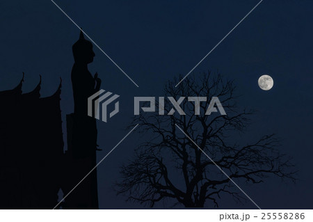 Abstract silhouette soft blurred and soft focus of 25558286