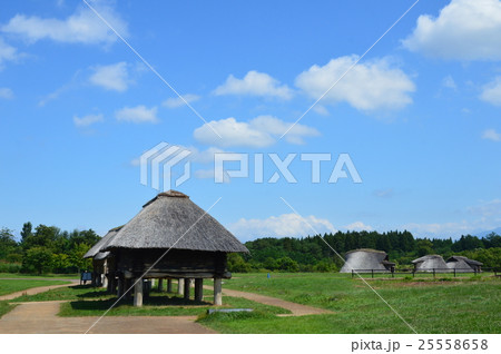 高床式建物（三内丸山遺跡／青森県青森市大字三内字丸山） 25558658