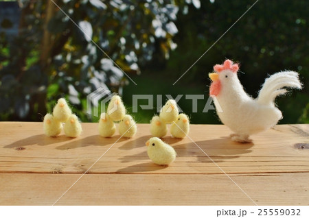 にわとりとひよこ にわとりとひよこ 25559032