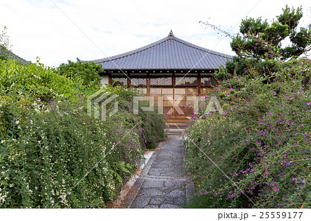 常林寺 - 萩の寺 常林寺 - 萩の寺 25559177