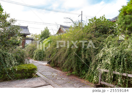 常林寺 - 萩の寺 常林寺 - 萩の寺 25559184