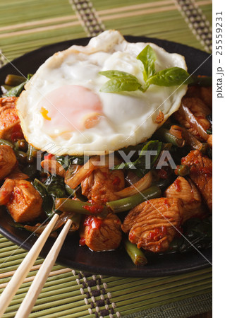 Thai chicken with basil and egg close-up 25559231