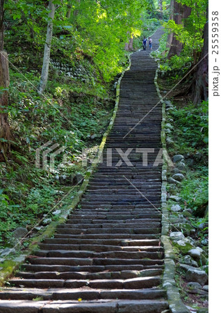 羽黒山参詣道 羽黒山参詣道 25559358