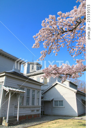 春の天鏡閣 春の天鏡閣 25559555