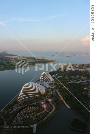 Marina Bay Sands 25559855