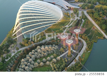 Marina Bay Sands Marina Bay Sands 25559856
