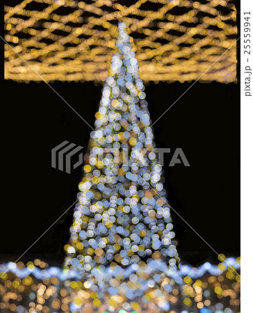 Shinny Christmas Tree, 25559941