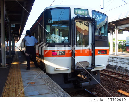 武豊線311系 武豊線311系 25560010