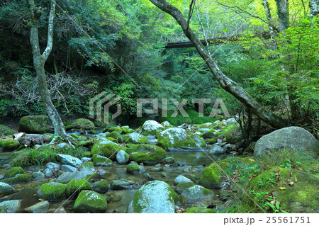 花貫渓谷 25561751