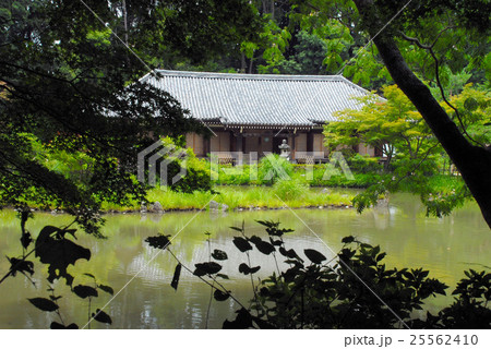 浄瑠璃寺本堂 浄瑠璃寺本堂 25562410