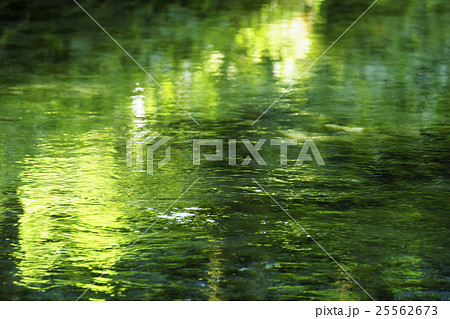 毎分60トンの豊富な湧水を誇る阿蘇カルデラ火山群の南の裾野にある代表的な白川水源。透き通る綺麗な水 25562673