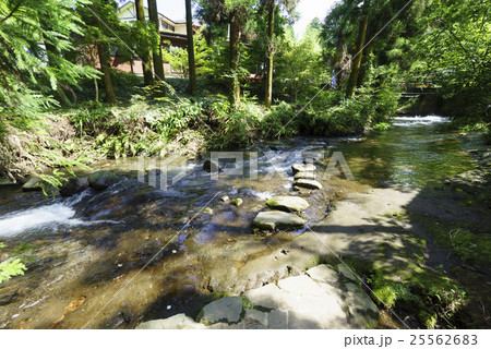 毎分60トンの豊富な湧水を誇る阿蘇カルデラ火山群の南の裾野にある代表的な白川水源。名水百選に選出 25562683