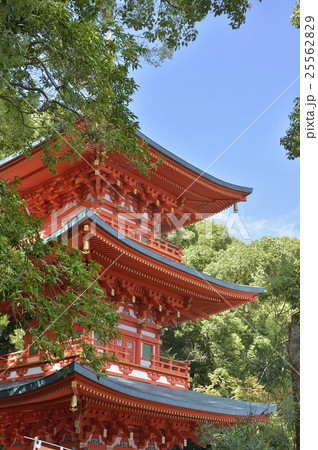 須磨寺　三重塔 25562829