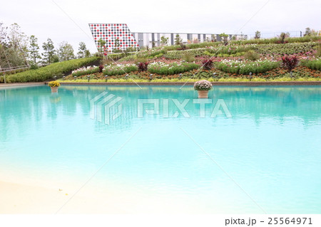 フラワーラグーンの中央 25564971